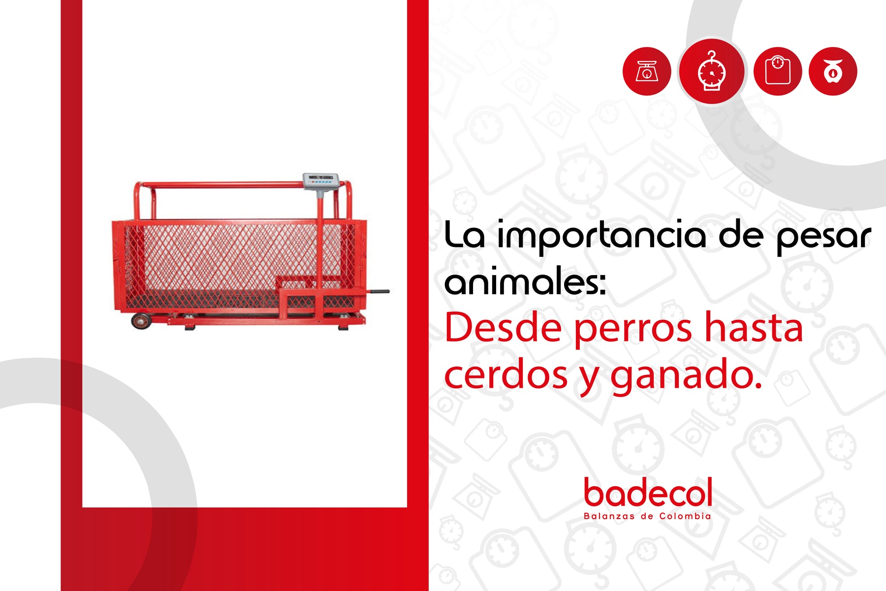 La Importancia de Pesar Animales: Desde Perros hasta Cerdos y Ganado