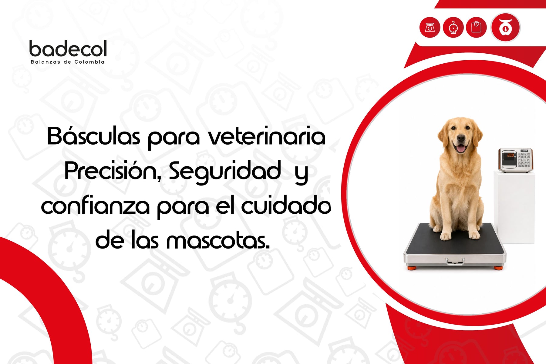 Básculas para veterinaria: precisión, seguridad y confianza para el cuidado de las mascotas