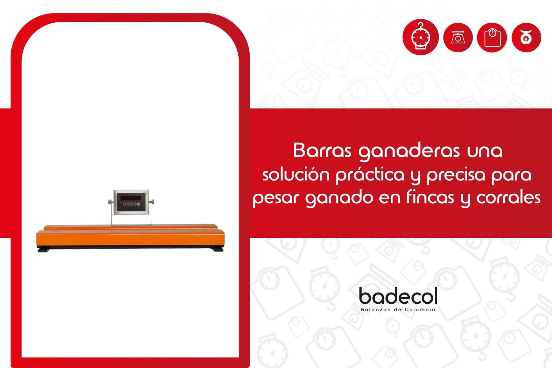 Barras ganaderas: una solución práctica y precisa para pesar ganado en fincas y corrales