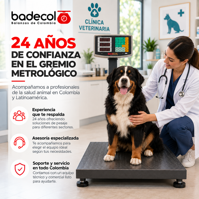 La bascula de piso industrial Badecol, cuenta con estructura reforzada y cubierta en lámina alfajor. Su fácil manejo y precisión son características que permiten que esta báscula trabaje en ambientes comerciales e industriales.