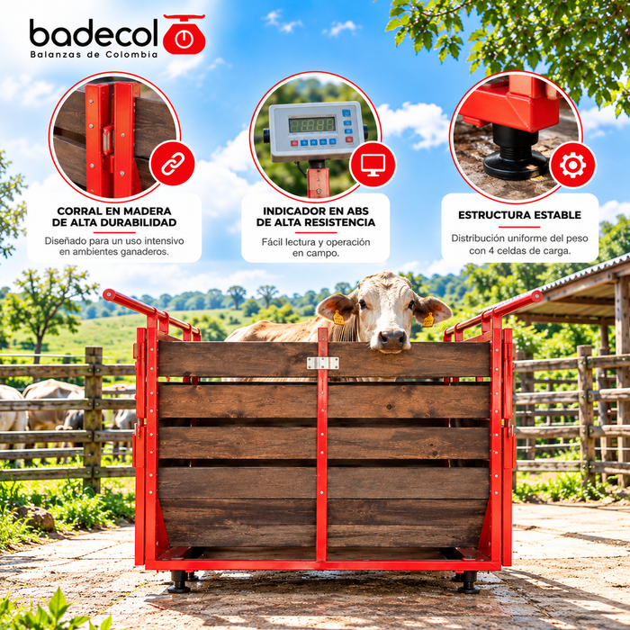 Bascula electronica para animales con encierro, ganadera. La bascula ganadera electrónica badecol, es ideal para pesar bovinos y reses de gran tamaño. La Báscula esta soportada sobre 4 sensores o celdas de carga, con cerramiento en corral de madera de alta durabilidad.