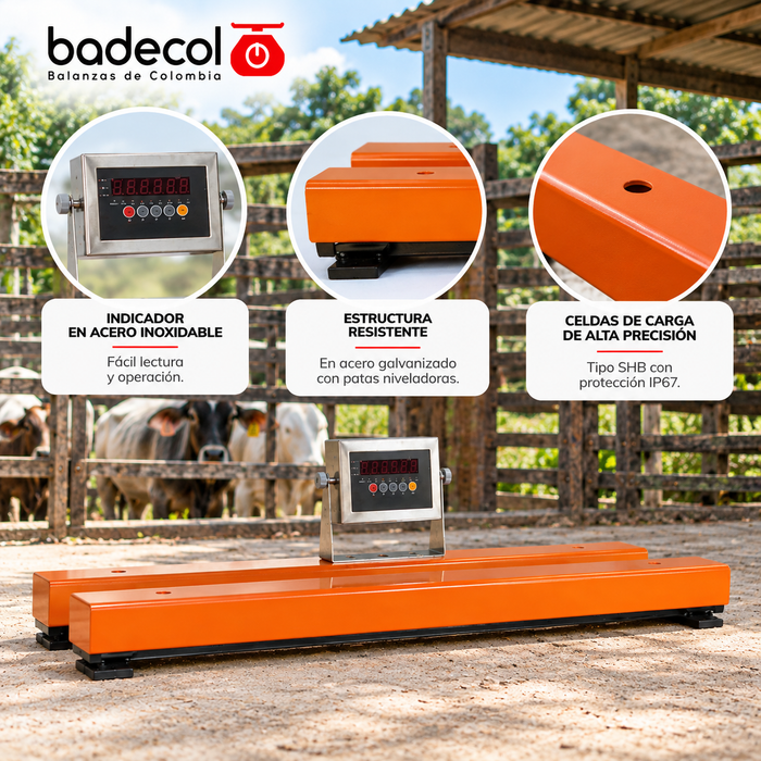 Barras de pesaje multiusos para trabajo robusto, estructura en aceleación de acero galvanizado, permite anclar la estructura al suelo, celdas de carga tipo SHB de 2mV/V con proteccion IP67, cuenta con caja de empalme interna. Longitudes de 60 cm y 80 cm. Capacidad maxima 2000 kg. Ampliamente utilizadas para el pesaje de animales en pie, bretes y canales.