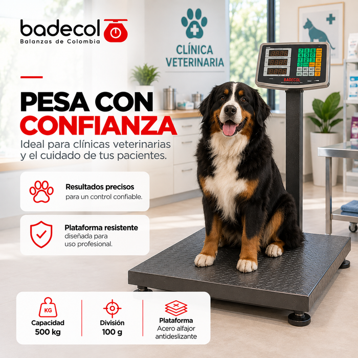 La bascula de piso industrial Badecol, cuenta con estructura reforzada y cubierta en lámina alfajor. Su fácil manejo y precisión son características que permiten que esta báscula trabaje en ambientes comerciales e industriales.