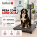 La bascula de piso industrial Badecol, cuenta con estructura reforzada y cubierta en lámina alfajor. Su fácil manejo y precisión son características que permiten que esta báscula trabaje en ambientes comerciales e industriales.