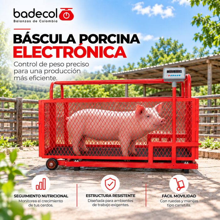 La Báscula Porcina electrónica marca Badecol, esta diseñada para que su uso sea de fácil manipulación y transporte; la bascula esta sobre un sistema de ruedas y manijas tipo carretilla. Fabricada en estructura tubular, con corral en malla metálica y piso de rejilla platico antideslizante.