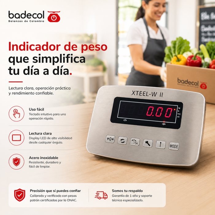 Indicador para bascula badecol
