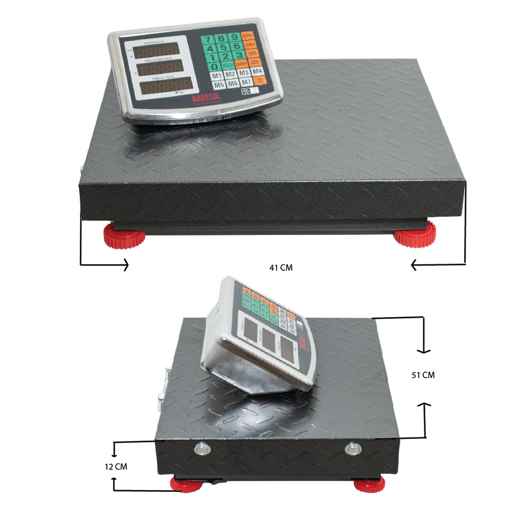Balanza Báscula de plataforma Inalámbrica Industrial 300KG — Badecol ...