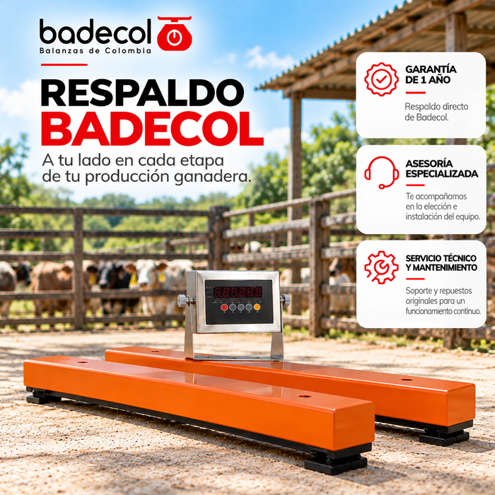 Barras de pesaje multiusos para trabajo robusto, estructura en aceleación de acero galvanizado, permite anclar la estructura al suelo, celdas de carga tipo SHB de 2mV/V con proteccion IP67, cuenta con caja de empalme interna. Longitudes de 60 cm y 80 cm. Capacidad maxima 2000 kg. Ampliamente utilizadas para el pesaje de animales en pie, bretes y canales.