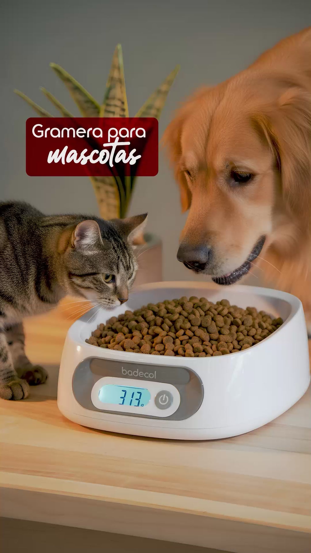 Balanza gramera lavable para mascotas, capacidad máxima 2kg