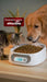 Balanza gramera lavable para mascotas, capacidad máxima 2kg