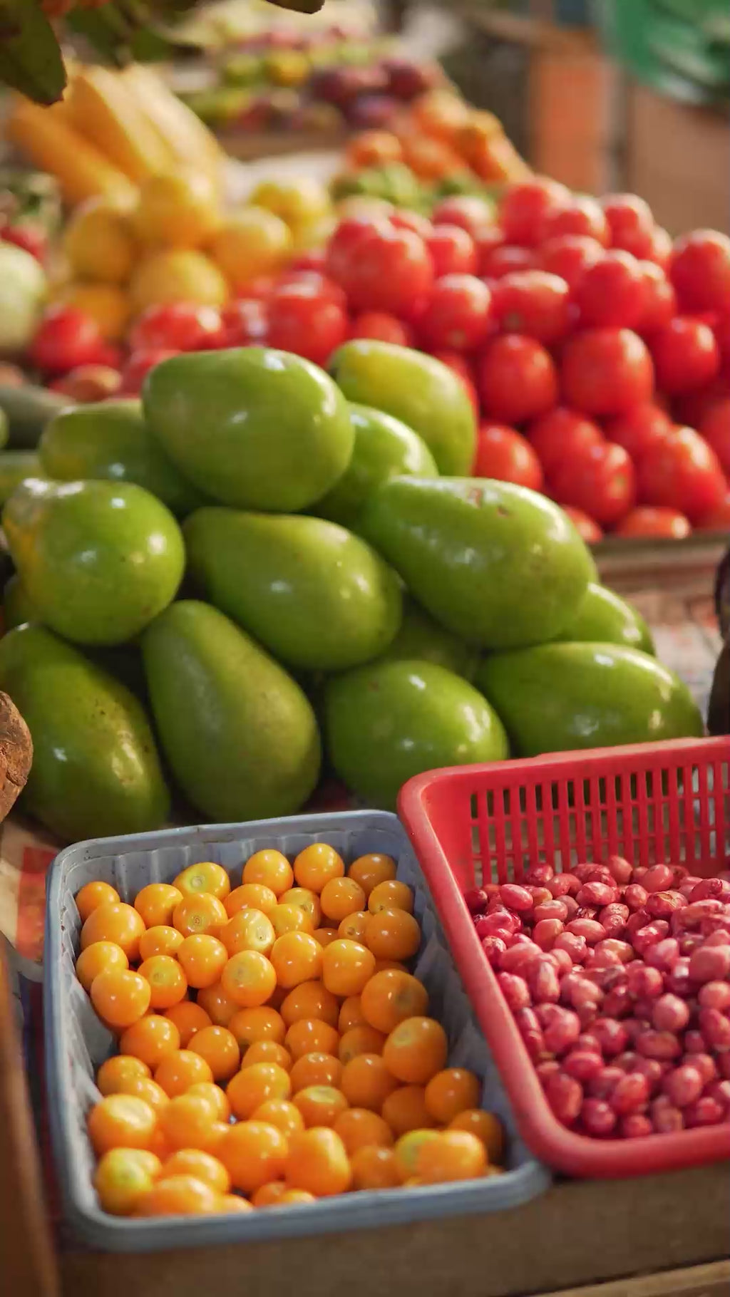 Balanzas mecanicas analogas de colgar badecol, optimas para plazas de mercado, fruvers y  el campo