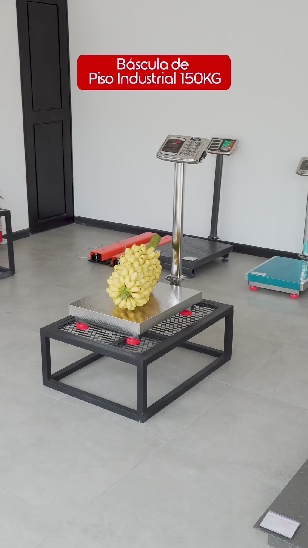 báscula de piso en acero inoxidable de 150kg