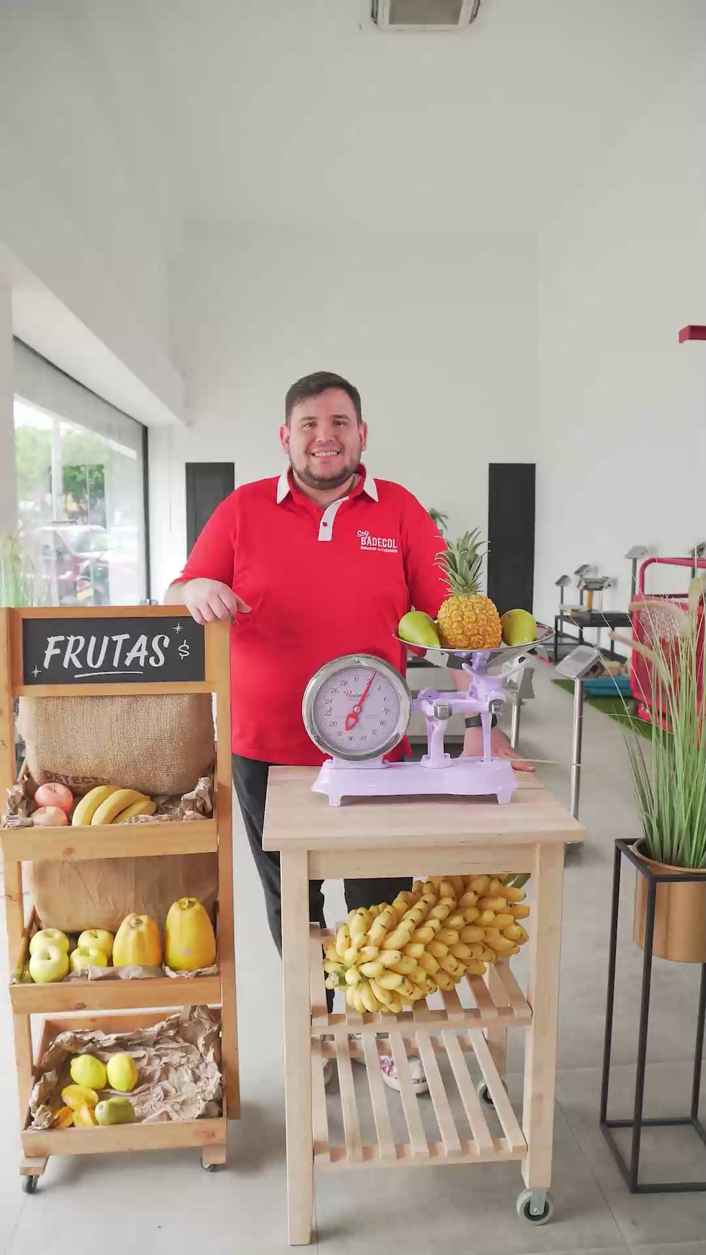 Balanzas mecánicas análogas de mostrador badecol, optimas para plazas de mercado, fruvers y  el campo